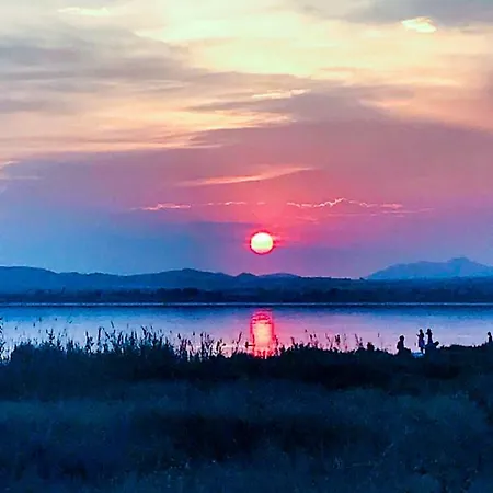 Sunshine * Torrevieja